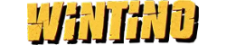 Wintino logo